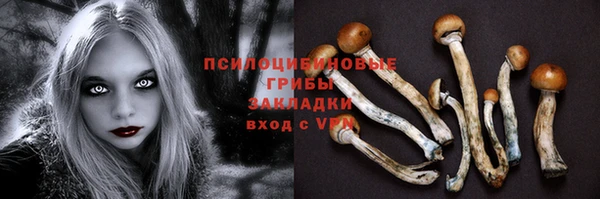 СК Киренск