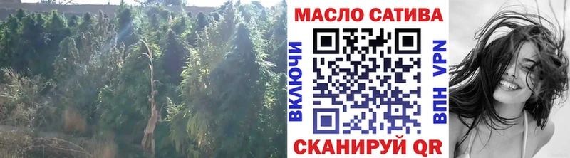 ТГК вейп  Купить закладки  Знаменск 