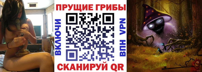 Галлюциногенные грибы GOLDEN TEACHER  Купить  Знаменск 