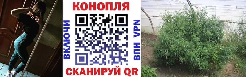 Бошки марихуана планчик  Купить закладки  Знаменск 